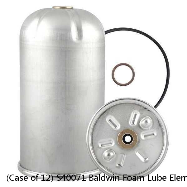 (Case of 12) S40071 Baldwin Foam Lube Element