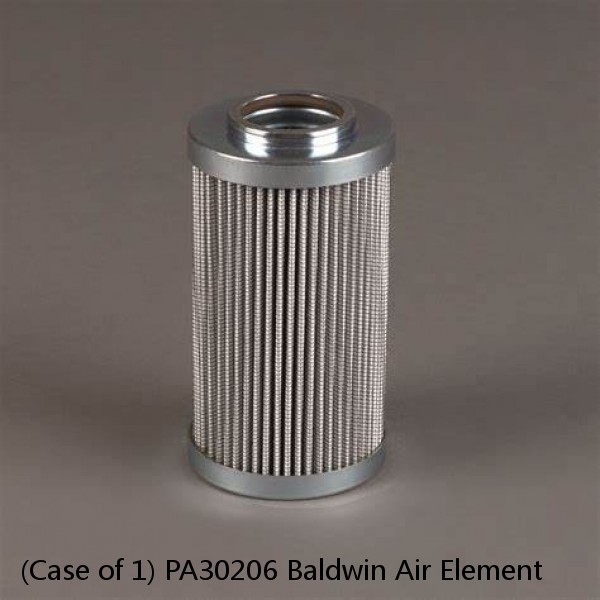 (Case of 1) PA30206 Baldwin Air Element