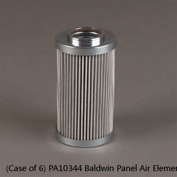 (Case of 6) PA10344 Baldwin Panel Air Element #1 image
